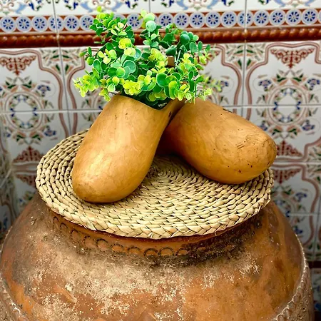 Casa Claudio Palomar